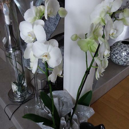 L'Orchidee Lassay-les-Chateaux Exterior foto