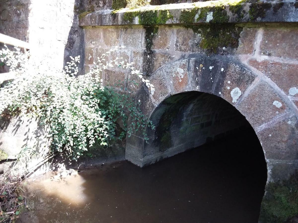 L'Orchidee Lassay-les-Chateaux Exterior foto