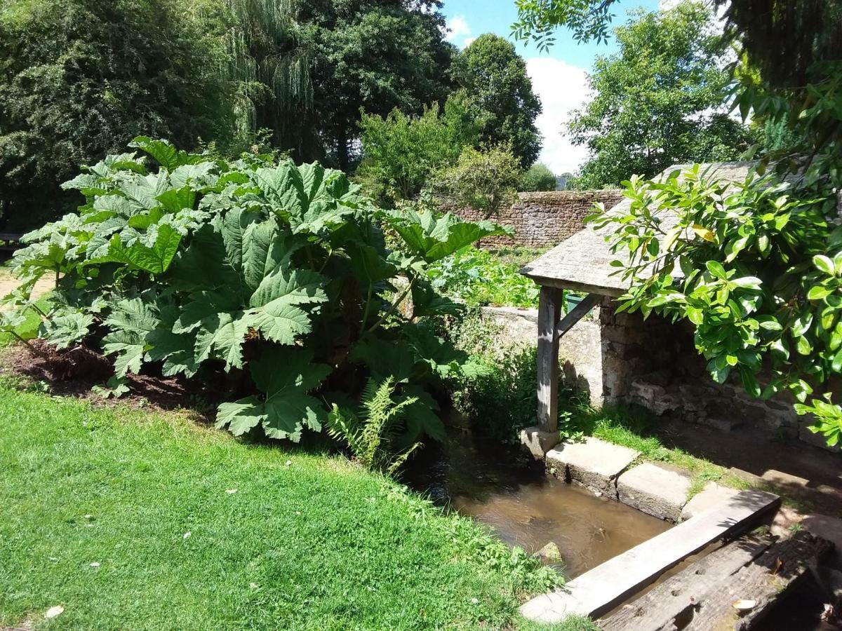 L'Orchidee Lassay-les-Chateaux Exterior foto